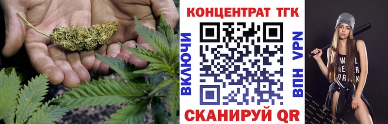 ТГК концентрат Можга